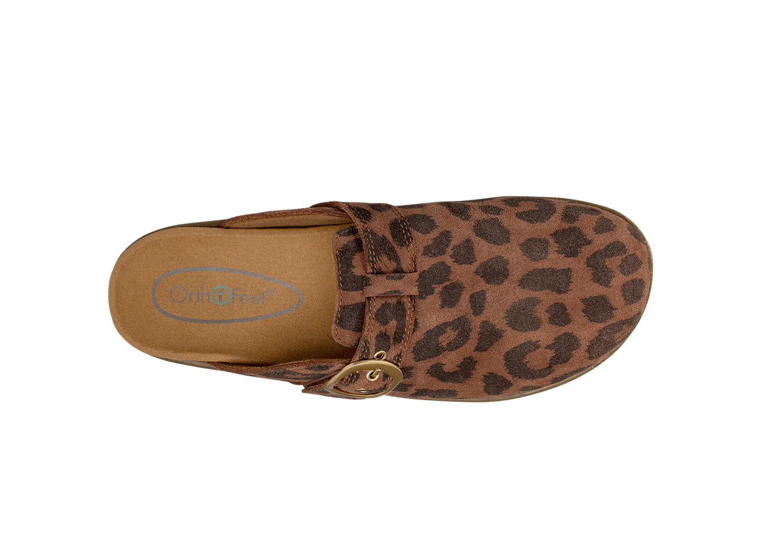 Casey - Leopard - Image 11