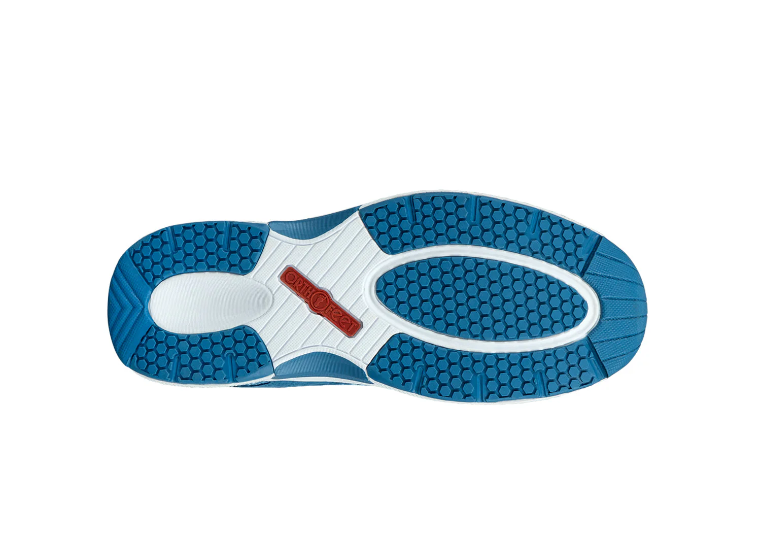 Coral - Blue - Image 12