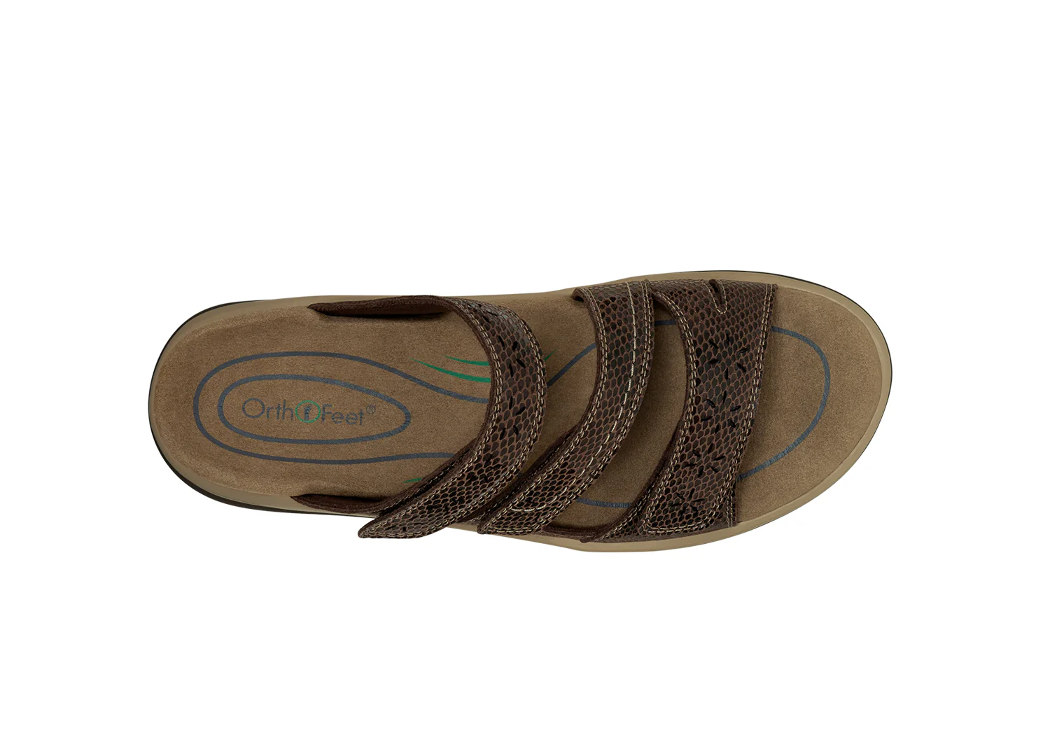 Sahara - Brown Snake - Image 11